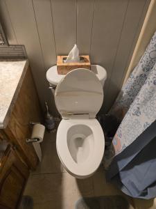 a bathroom with a toilet with a box of tissues on it at Grace Meadows in Tyler +14 photos