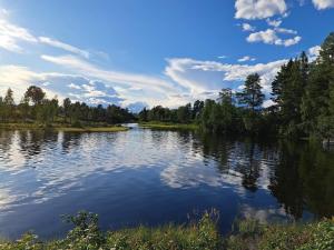 a river with trees and clouds in the water at 4 star holiday home in VÅMHUS in Våmhus