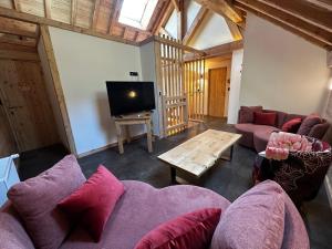a living room with purple couches and a tv at Maison Cœur Clarée in Névache