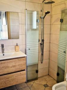 a bathroom with a shower and a sink at נחת רוח Nachat Ruach in Mitzpe Ramon