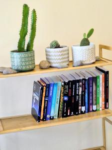 a book shelf with books and cactuses at נחת רוח Nachat Ruach in Mitzpe Ramon +20 photos