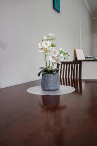 Fotografie z fotogalerie ubytování Residencial Paquissi v Lubangu