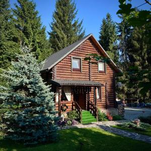 a log cabin with a christmas tree in front of it at Cottage Kalinka in Bukovel