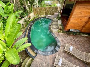 ウブドにあるEco Tini Villas Rice Fields and Jungle Viewのデッキにある小さなプールの画像 +19枚の写真