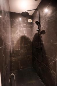 un bagno con doccia con parete piastrellata nera di Luxe Poirier Chatelet Centre Ville a Orléans