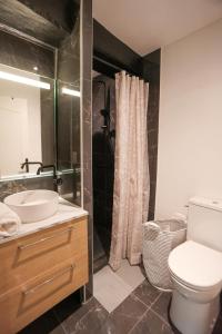 un bagno con wc, lavandino e doccia di Luxe Poirier Chatelet Centre Ville a Orléans Altre 23 foto