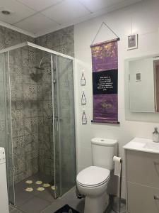 a bathroom with a toilet and a shower at MONTE DA ADEGA in Vale de Água +32 photos