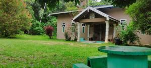 Zahrada ubytování Dorm2 + 11 fotografií