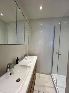 a white bathroom with a sink and a shower at Appartement élégant Championnet - 3 chambres - parking privé in Grenoble +11 photos