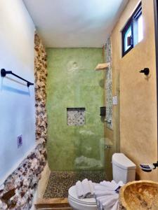 a bathroom with a shower and a toilet at Habitaciones Colonial Zaci in Valladolid