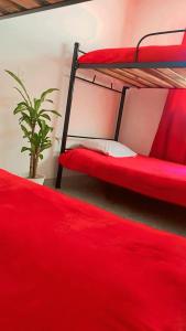 Ένα ή περισσότερα κρεβάτια σε δωμάτιο στο Hostal Abba