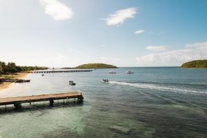 a dock on a body of water with boats at Studio 4 Casiguaya with Garden access in Vieques