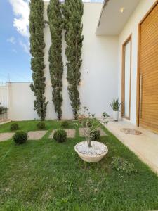 Zahrada ubytování Casa Lar Ataides