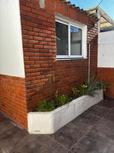 a brick wall with a window and plants on it at El Colonial departamento céntrico in Miramar