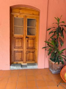 a wooden door with a potted plant in front of a building at Departamento Yotao in Oaxaca City
