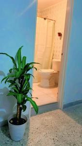 Ένα μπάνιο στο Hostal Abba +30 φωτογραφίες