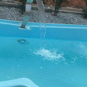 Hồ bơi trong/gần Cabana Anitápolis +4 ảnh