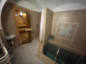 a bathroom with a shower and a sink and a toilet at Glasigloo in Rozvadov +27 photos