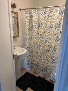 a bathroom with a shower curtain and a sink at Cottages by Storybook Park in Burley