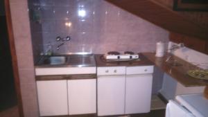 a small kitchen with a sink and a counter at Apartman Amalija in Gornji Karin +23 photos