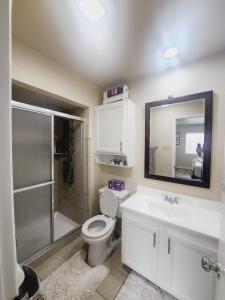 a bathroom with a toilet and a shower and a mirror at Complete Home with everything in The Colony