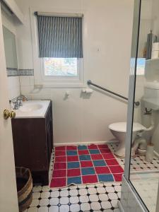 ein Badezimmer mit Waschbecken und Toilette in der Unterkunft Thronum Cottage in Mangoplah