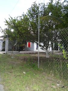 a fence with a tree in front of a house at Socktuc in Oxkutzcab +2 photos