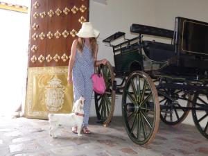 a woman standing next to a horse pulling a cart at Las Casas de la Judería de Córdoba in Córdoba