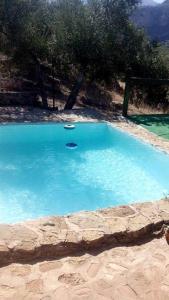 ein blauer Pool mit einem Frisbee darin in der Unterkunft Alojamiento Rural el Nolo in Chincolla