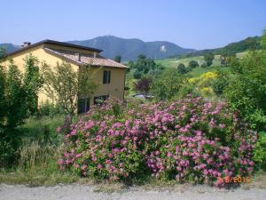 een veld met roze bloemen voor een huis bij Case Crovina in Salsomaggiore Terme