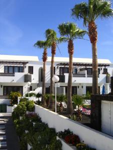 a building with palm trees in front of it at Plaza Azul in Puerto del Carmen