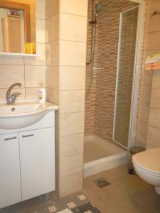 Koupelna v ubytování Apartments and Rooms Oražem Zoro + 29 fotografií