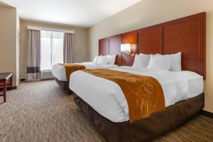 オシュコシュにあるComfort Suites Oshkosh Westの大きなベッド2台と窓があるホテルの部屋