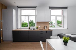 a kitchen with black cabinets and two windows at Restart in Kaunas