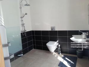 a bathroom with a toilet and a sink at La Maison Des Badons in Saint-Basile