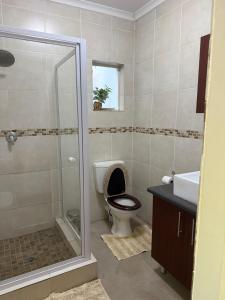 a bathroom with a toilet and a shower and a sink at 7 on West in Postmasburg