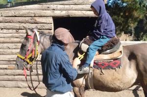 Hesteridning på gjestgiveriet eller i nærheten