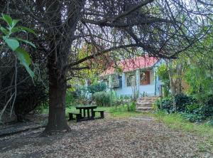 En have udenfor Lalapanzi Cottage Solar Power Filtered Water