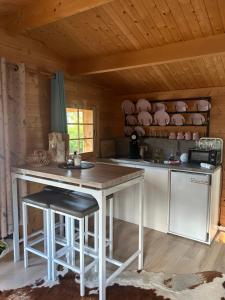 Kuchyň nebo kuchyňský kout v ubytování Relax Hütten & Spa Gröden + 32 fotografií