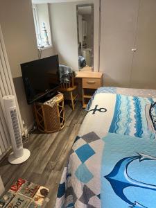 a bedroom with a bed and a flat screen tv at Cove Cott Guest Accommodation in Warsash