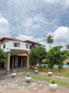 a building with plants in pots in front of it at Hotel Transylvania - Negombo in Negombo