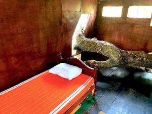 Foto dalla galleria di Yala Wild Tree House a Hambantota