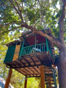 Foto dalla galleria di Yala Wild Tree House a Hambantota