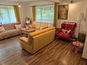 Χώρος καθιστικού στο Casa Provița +26 φωτογραφίες
