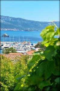 a view of a harbor with boats in the water at Apartments Lumbarda in Lumbarda