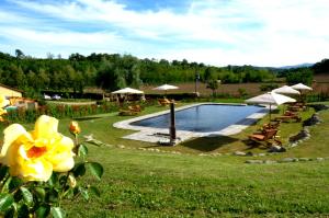 Bazén v ubytovaní SassoMatto b&b BioAgrituRelax alebo v jeho blízkosti