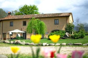 A garden outside SassoMatto b&b BioAgrituRelax