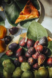 Galeriebild der Unterkunft RTA Costa Etrusca in San Vincenzo