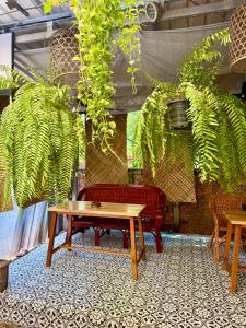 a table and benches in a room with plants at Angkor Piseth Retreat in Phumi Ta Phul