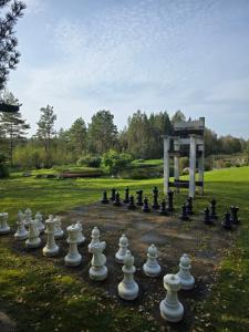 a large chess board in a park with a giant chessboard at Hõbesoo Puhkekeskus in Lepiku +74 photos